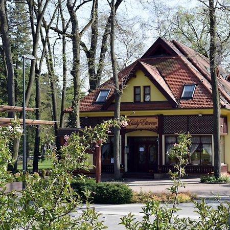 Villa Hotel Debrecen Ngoại thất bức ảnh