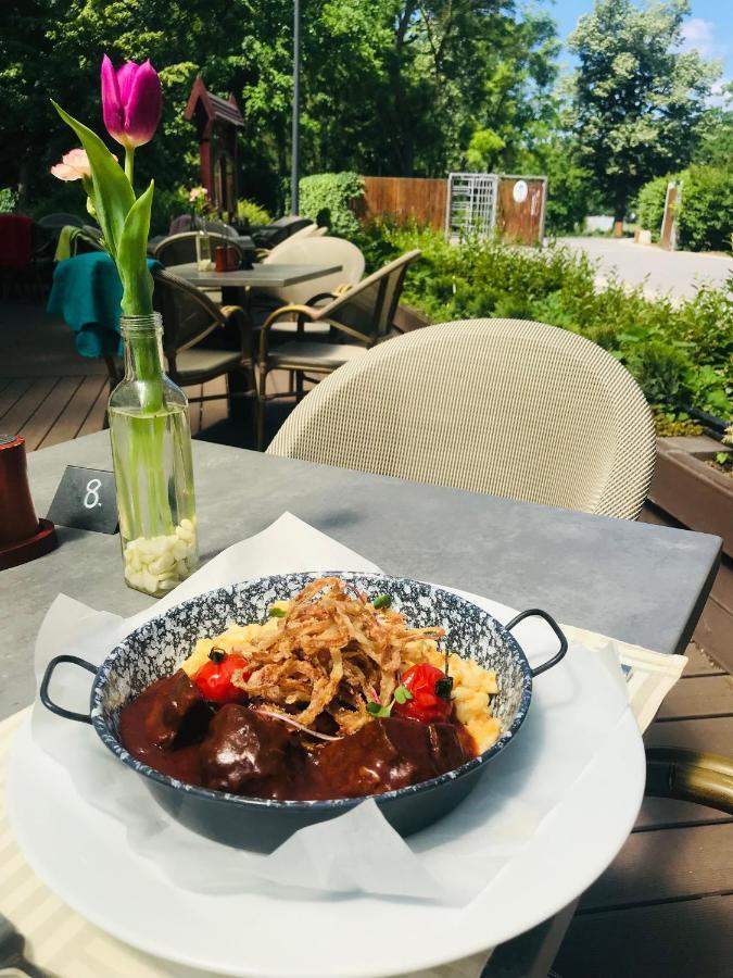 Villa Hotel Debrecen Ngoại thất bức ảnh