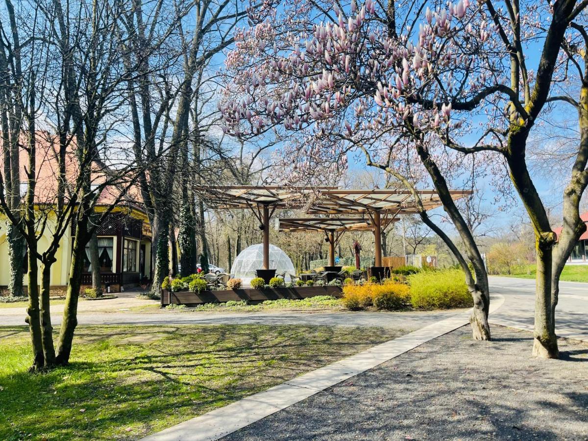 Villa Hotel Debrecen Ngoại thất bức ảnh