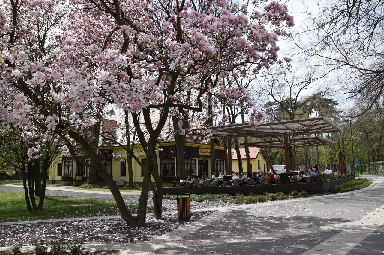 Villa Hotel Debrecen Ngoại thất bức ảnh